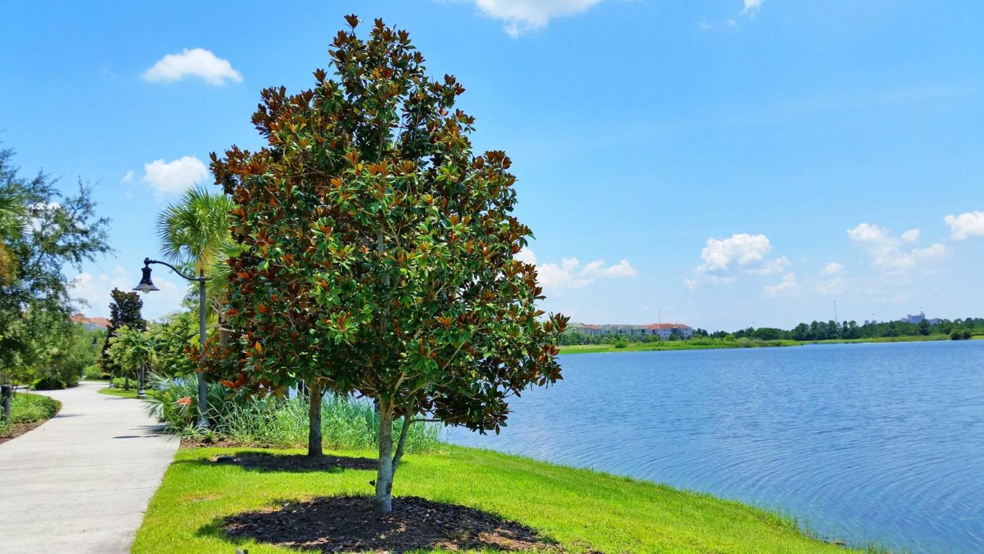 Resort Townhome: Perfect Orlando Vacation Spot Esterno foto